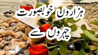 AYK HUBSURAT DILL