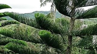 Tagaytay view