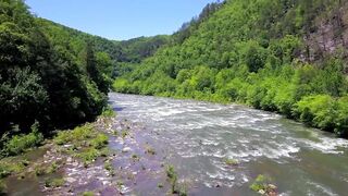 So Beautiful Nature Video ????????????