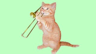 Cat singing music part 1