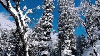 Snowfall...