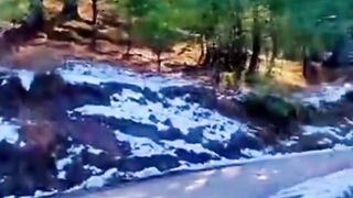 Fresh Video of Snowfall