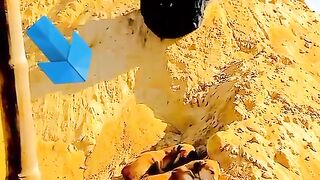 Funny video