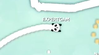 Snake.io game/Snake.io Panda skin Funny Moments