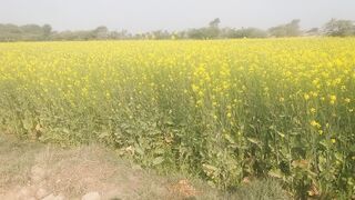 My frist vlog