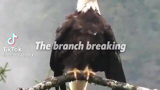 Believe to yourself
