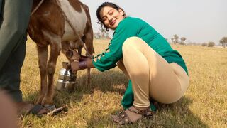 Girl Goat Milking By Hand | How To Goat Milking | Life In Village | Pak village Routine Vlog