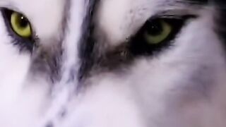 ???? humans love