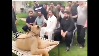Lahore da pawa akhter lawa