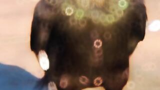 Aseel murgha TikTok video