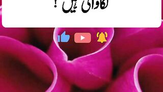 urdu quotes,golden words#shorts#viralshorts#viralvideo#trending