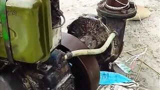 Funny videos| funny sounds