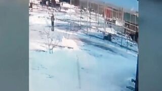 Drunk' Woman Mauled By Lion, Nearly Her Hand Ripped Off Climbing Over Safety Barrier At Russian Zoo