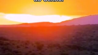 Motivaçaodiaria