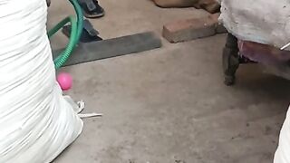 Cat lover