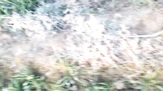 Buhot sardi Pari he