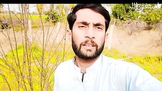 Pomegranate  prunning