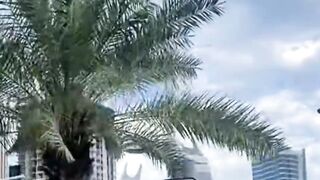 Beautiful Doha city Qatar/دوحہ سٹی قطر/