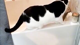 Funny video #tiktok video