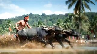 Kantara movie #movie