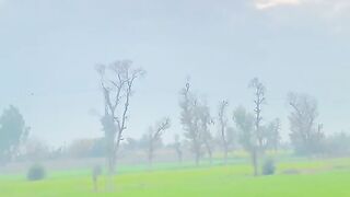 Saraiki poetry