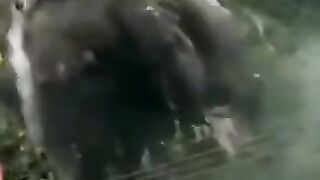 اللہ تعالیٰ معاف کرے