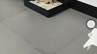 Popping time