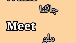 Words Meanings in English