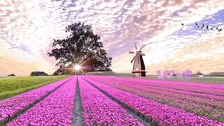 Beautiful place in the world