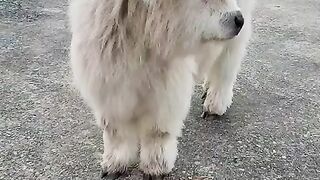 sweet kid