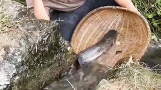 Catching fish
