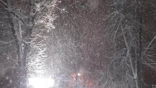 Snowfall