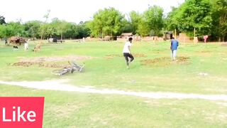 Must watch funny videos 2023 part 4