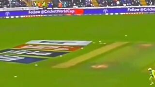 Babar Azam Cover Drives ????