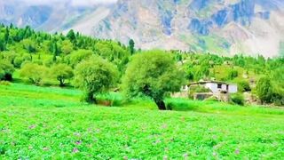 #Manirelaxation #nature #vlog #short