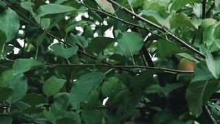 Hazrat Ali said Islamic video short video