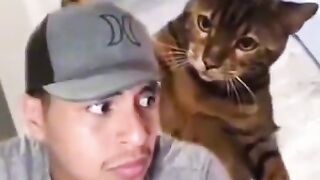 Funny Cat 2023 Best Viral clip|If you like follow me