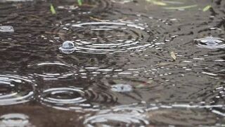 Rain drops