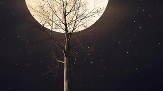 Nature Lover
