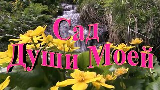 Алмас Багратиони Сад Души Моей!
