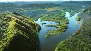 Амурский тигр – быстрый и опасный Владыка тайги! Самый крупный из...