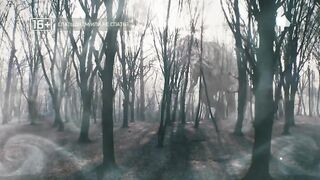 Спать днем или не спать
