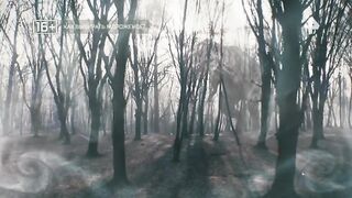 Как выбирать мороженое-Samye shokirujushhie gipotezy