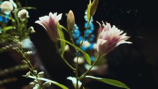 Ани Лорак - Верила