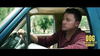 Dog Trailer 2022