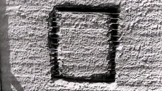 Линда - Ворона