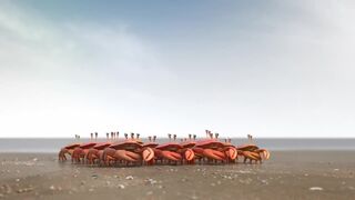 Сила в единстве «Crabs Know That», Unions Work