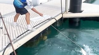Fish catching
