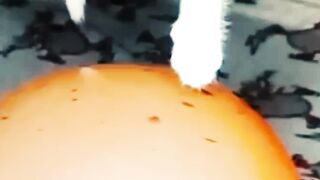 Cute-Cats-funny-video