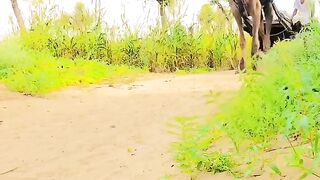 Camel  in  My jungle